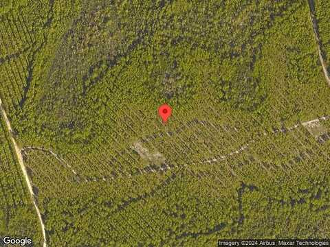 Green Heron St Lot 50, Inlet Beach, FL 32461