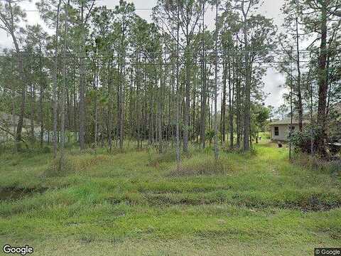 Peterlee Ct, Kissimmee, FL 34758