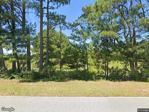 Youngs Mill Road Lot 91, Hogansville, GA 30230