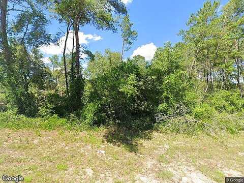 Sw 146Th Place Rd, Ocala, FL 34473