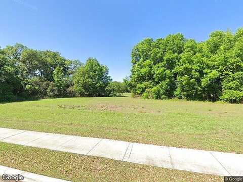 Wild Heron Ct, Valrico, FL 33596