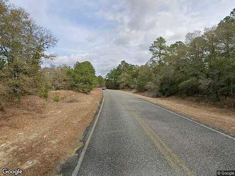 Lotts Creek Road F, Statesboro, GA 30458