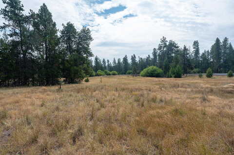 Dorrance Meadow, LA PINE, OR 97739