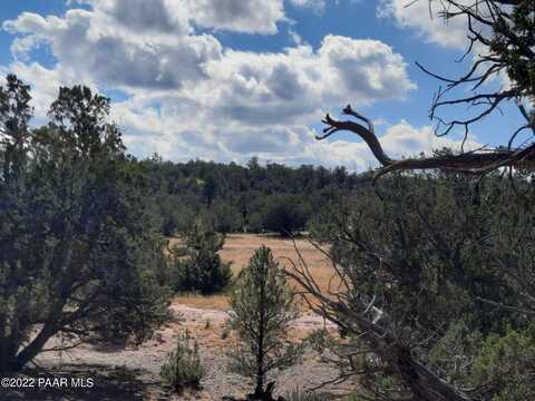 Bandera, SELIGMAN, AZ 86337