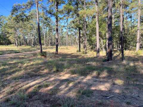 Private Road 6026, Brookeland, TX 75931