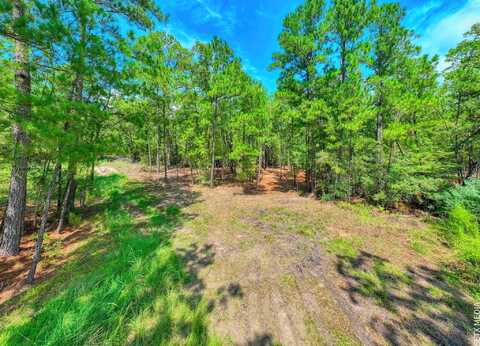 Parkside Drive, Brookeland, TX 75931