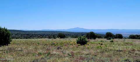 Se Starship Trail, Ash Fork, AZ 86320