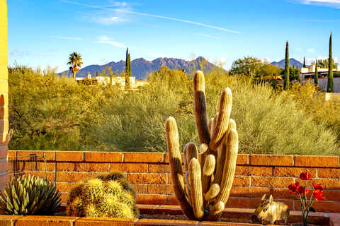 Calle Del Dante, GREEN VALLEY, AZ 85622