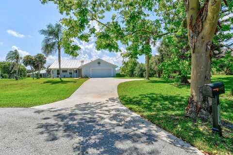 Ficus, JENSEN BEACH, FL 34957