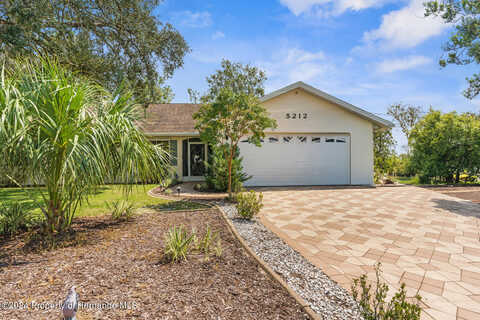 Abagail, SPRING HILL, FL 34608