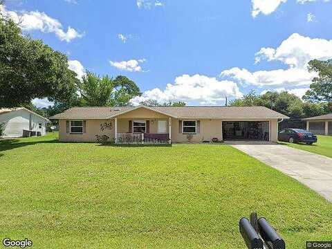 Travelers Palm, EDGEWATER, FL 32141