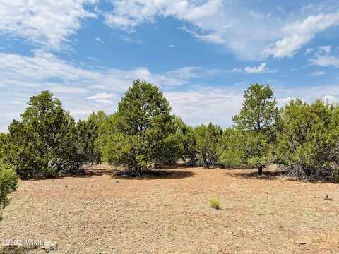 N Falcon Ridge Rd Lot B, Williams, AZ 86046