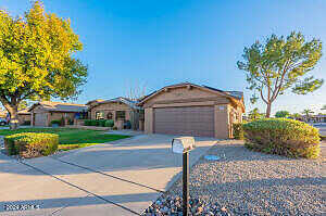 Peach Blossom, SUN CITY WEST, AZ 85375