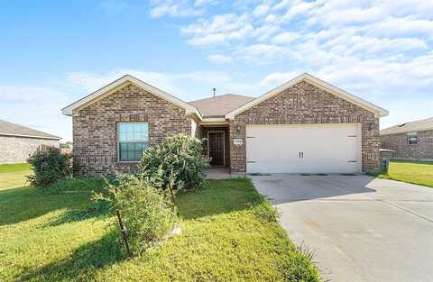 Mares Tail, FORNEY, TX 75126