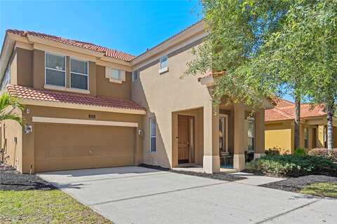 Orange Cosmos, DAVENPORT, FL 33837