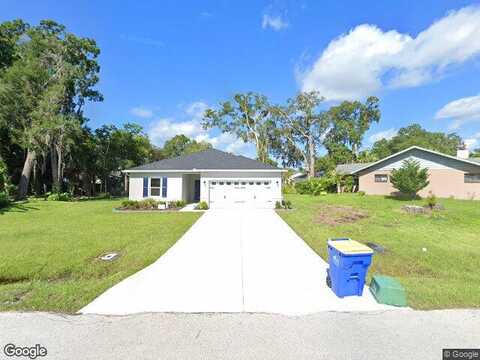 Queen Palm, EDGEWATER, FL 32141