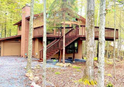 Red Spruce, POCONO PINES, PA 18350