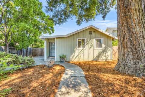 Oak, CALISTOGA, CA 94515
