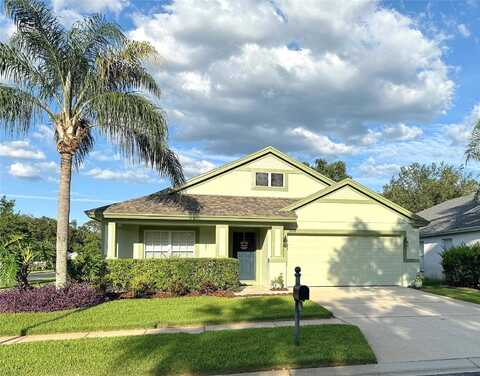 Amberside, WESLEY CHAPEL, FL 33544