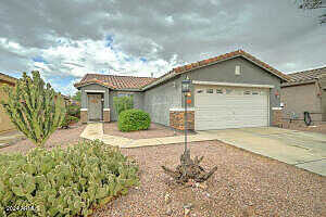 Angus, SAN TAN VALLEY, AZ 85143