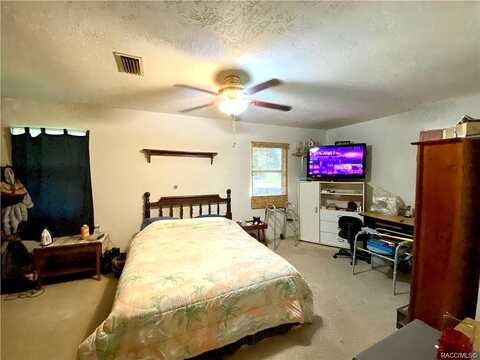 Dolphin, FLORAL CITY, FL 34436