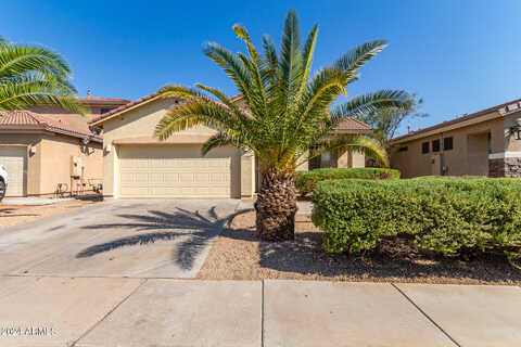 Vineyard, LAVEEN, AZ 85339