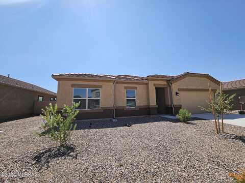 Black Dalea, MARANA, AZ 85653