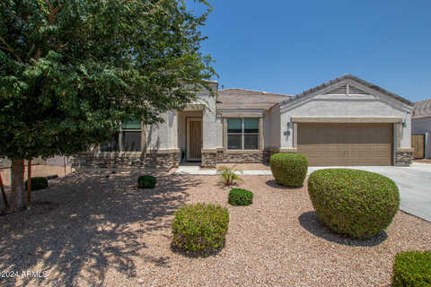 Angus, SAN TAN VALLEY, AZ 85143