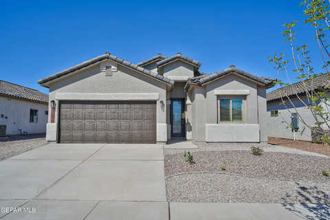 Desert Sunflower Avenue, El Paso, TX 79934