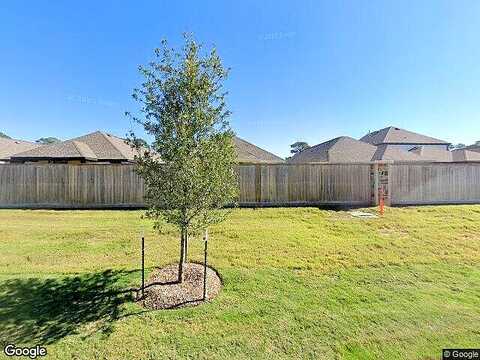 Esparto Hills Trail, Tomball, TX 77377