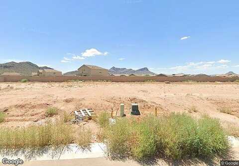 Weeping Dalea, MARANA, AZ 85653