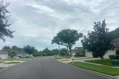 Sassafras, WESLEY CHAPEL, FL 33543