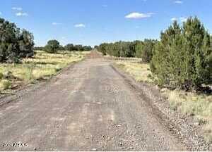 Grant Road -, Show Low, AZ 85901