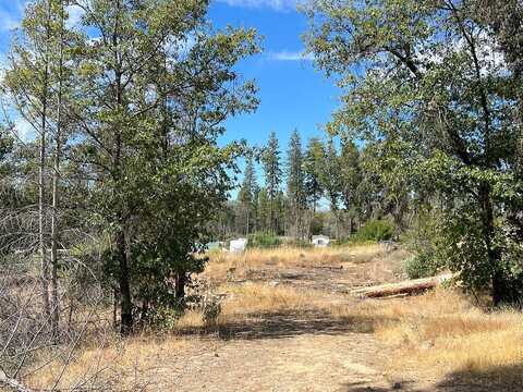 Ernie, BERRY CREEK, CA 95916