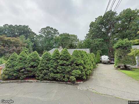 Hollow Tree, NORWALK, CT 06854