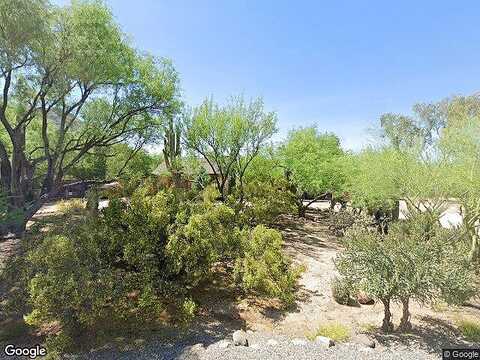 Egret, CAVE CREEK, AZ 85331