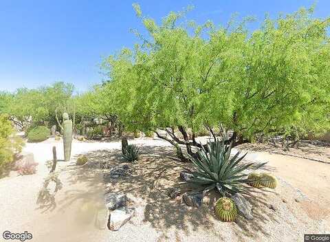 Egret, CAVE CREEK, AZ 85331