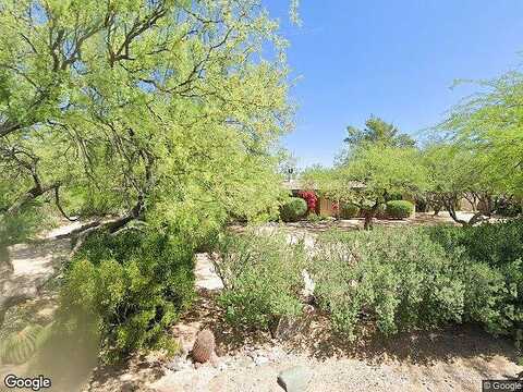 Egret, CAVE CREEK, AZ 85331