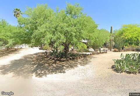 Egret, CAVE CREEK, AZ 85331