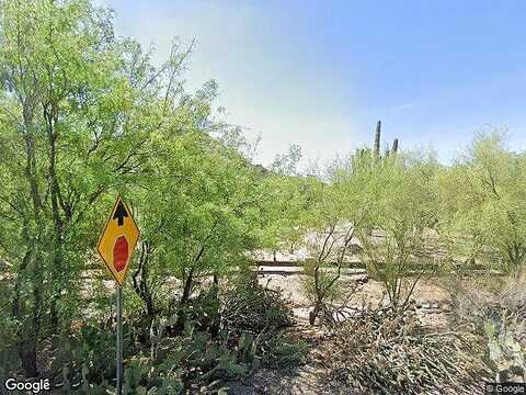 Egret, CAVE CREEK, AZ 85331