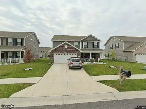 Coreopsis, PLAINFIELD, IN 46168