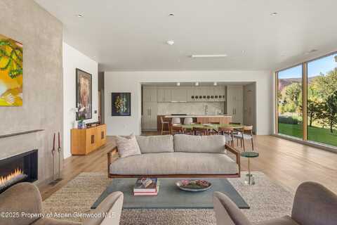 103 Willow Road, Basalt, CO 81621