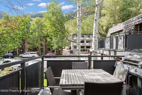 124 E Durant Avenue, Aspen, CO 81611