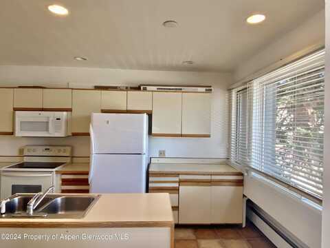 309 Pacific Ave / ABC, Aspen, CO 81611