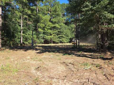 Lot 31 Shad Road, Williston, SC 29853