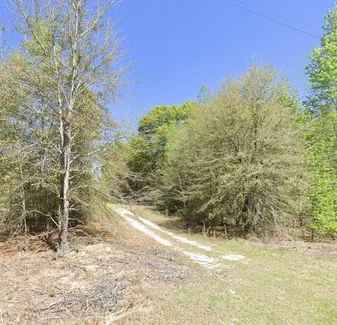 Tbd Shad Road, Williston, SC 29853