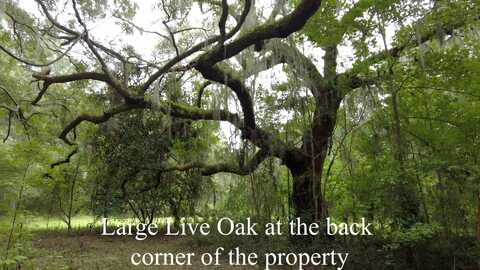 1661 Blues Lane, Edisto Island, SC 29438