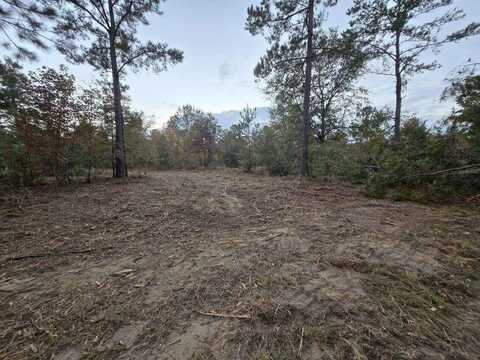 Lot 13 Oyster Trail, Williston, SC 29853