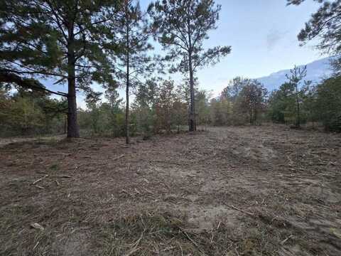 Lot 7 Oyster Trail, Williston, SC 29853