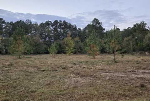 Lot B Ash Lane, Williston, SC 29853